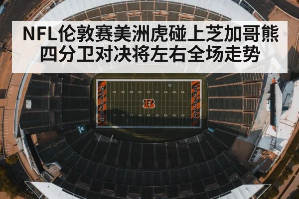 american football stadium | kaiyun