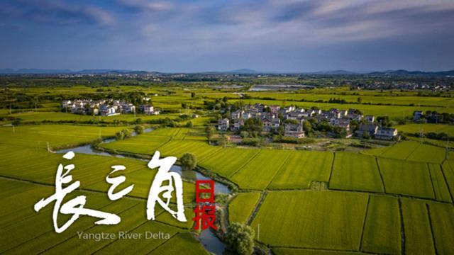开云下载-【长三角日报】“苏超”第四周赛事，预约购票提前